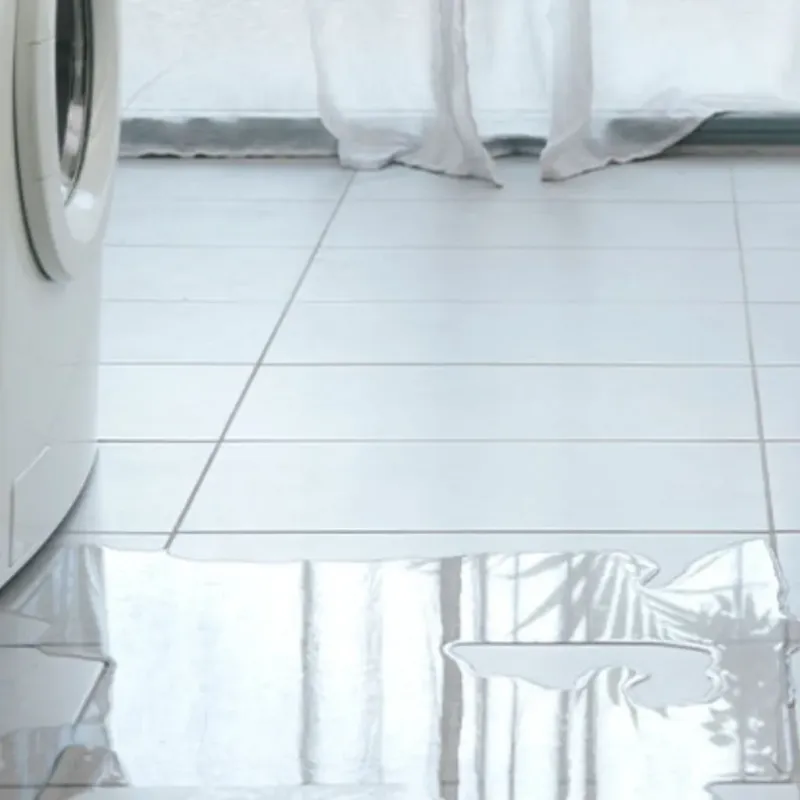 Appliance Leak Cleanup in Norman County, MN