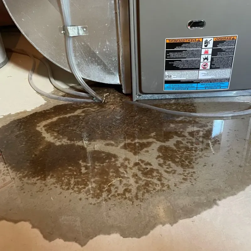 Pipe Burst and Leak Restoration in Norman County, MN