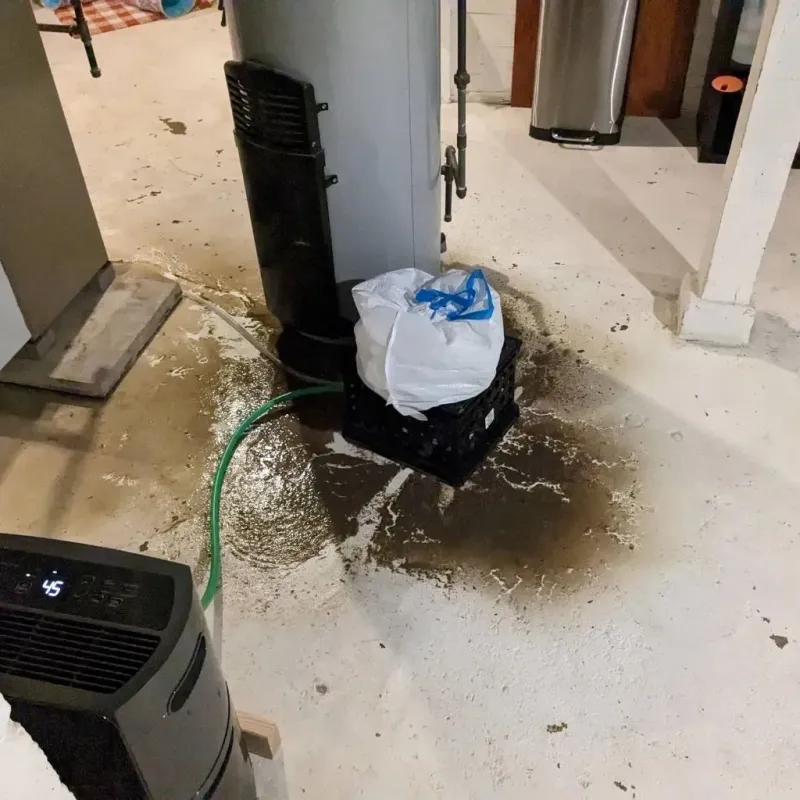 Sewage Backup Cleanup Service in Norman County, MN
